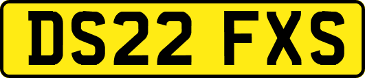 DS22FXS