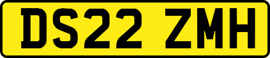 DS22ZMH