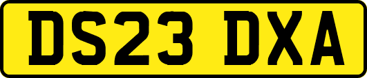 DS23DXA