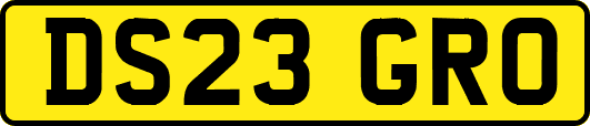 DS23GRO