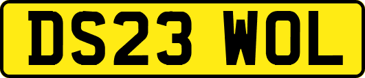 DS23WOL