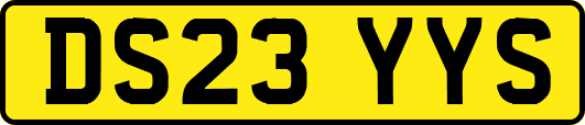 DS23YYS