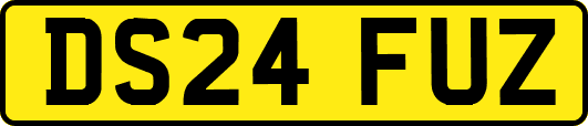 DS24FUZ