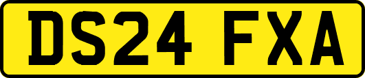 DS24FXA