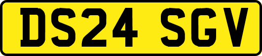 DS24SGV