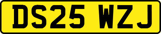 DS25WZJ