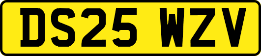 DS25WZV