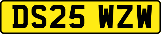 DS25WZW