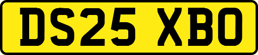 DS25XBO