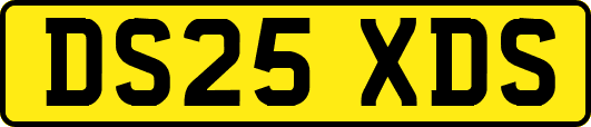 DS25XDS