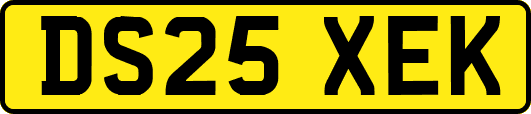 DS25XEK