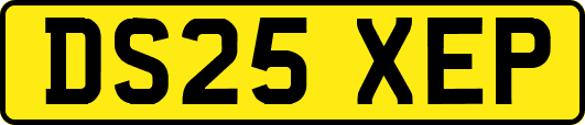 DS25XEP