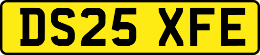 DS25XFE