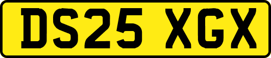DS25XGX
