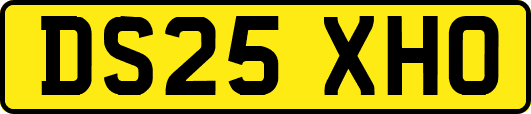 DS25XHO