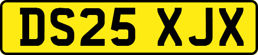 DS25XJX