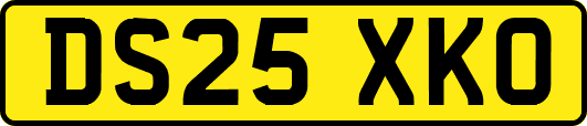 DS25XKO