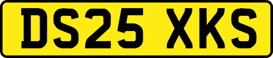 DS25XKS