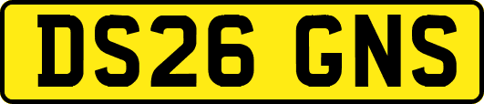 DS26GNS