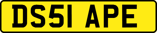 DS51APE
