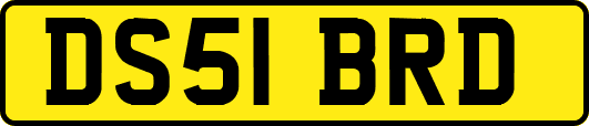 DS51BRD