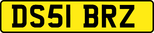 DS51BRZ