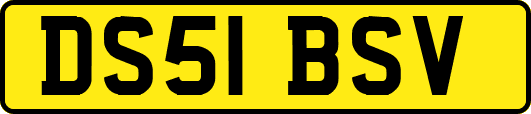 DS51BSV