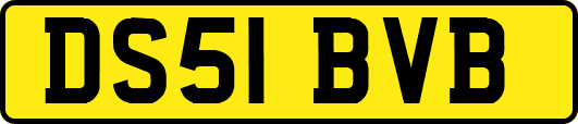 DS51BVB