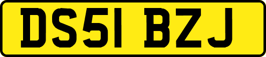 DS51BZJ
