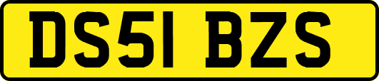 DS51BZS