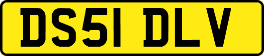DS51DLV
