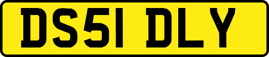DS51DLY