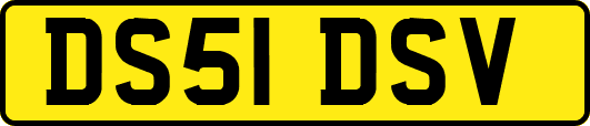 DS51DSV