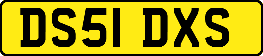 DS51DXS