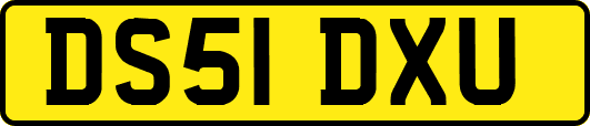 DS51DXU