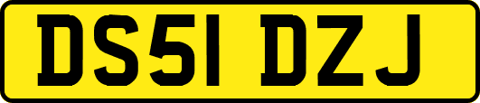 DS51DZJ