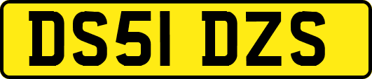 DS51DZS