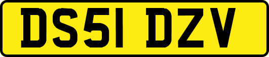 DS51DZV