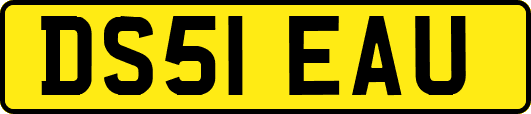 DS51EAU