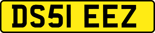 DS51EEZ