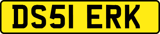DS51ERK