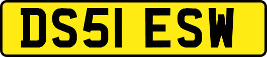 DS51ESW