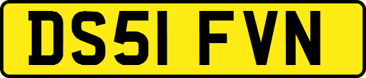 DS51FVN