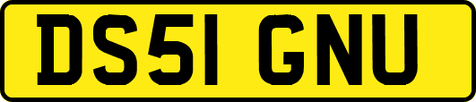 DS51GNU