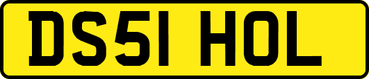 DS51HOL