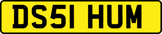 DS51HUM