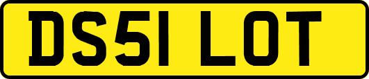 DS51LOT