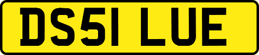 DS51LUE