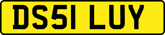 DS51LUY