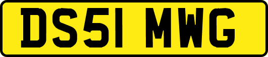 DS51MWG